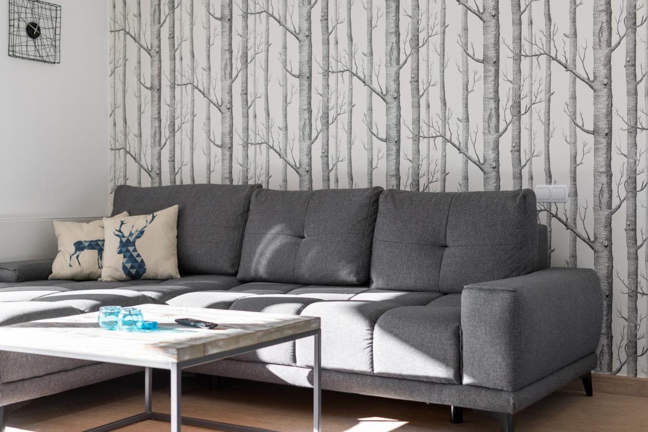 Apartament Scandinavia ซาโกปาเน ภายนอก รูปภาพ